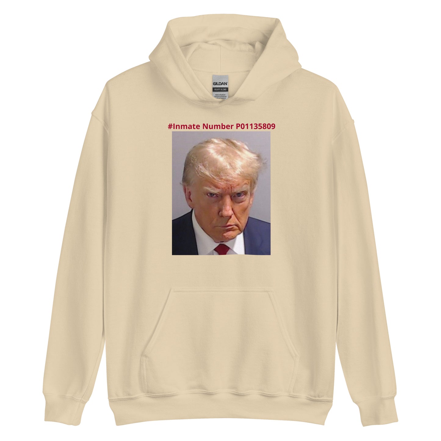 Trump Jail Mug Shot Hoodie